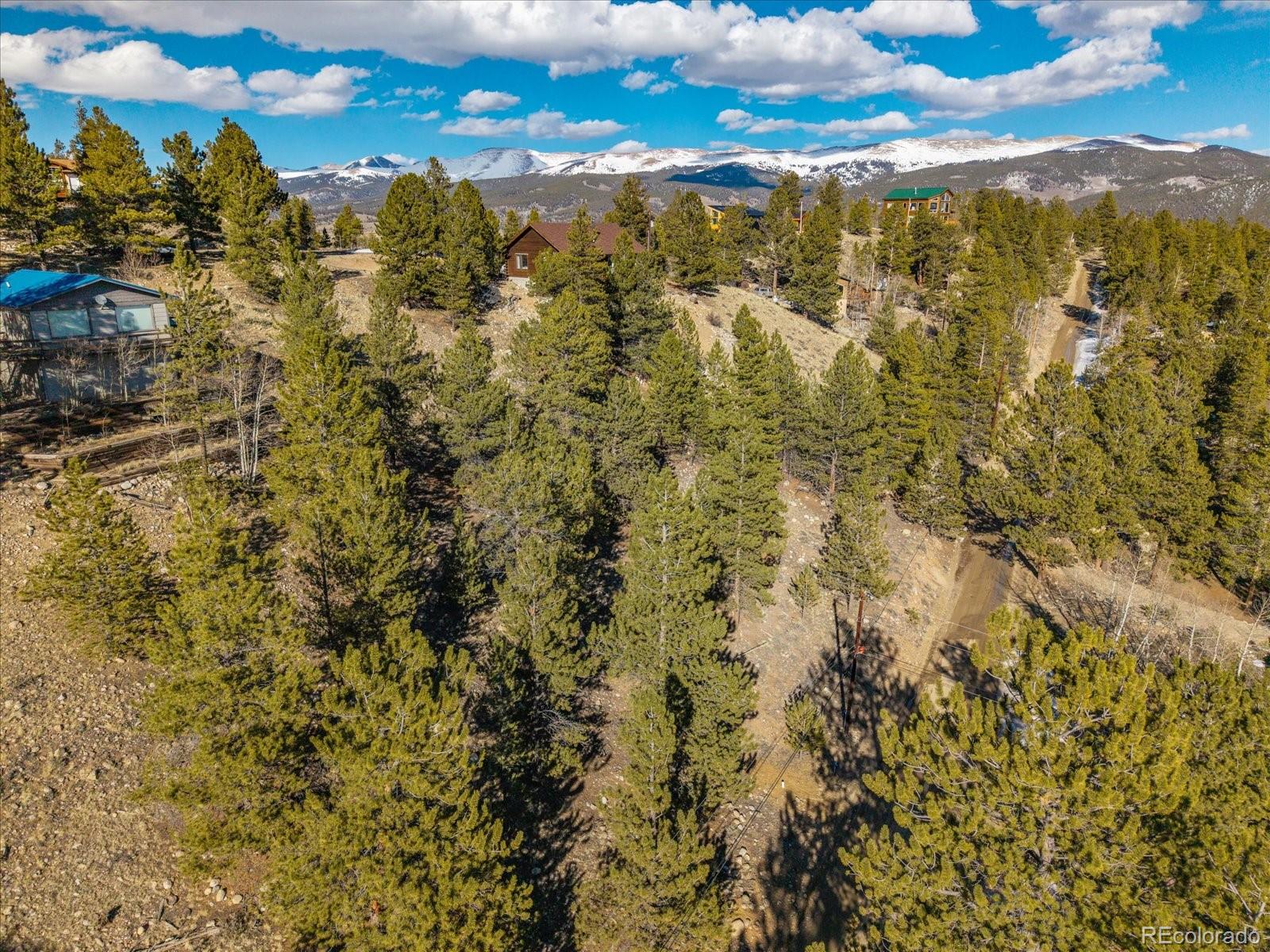 123 La Plata Peak Drive Twin Lakes CO 81251