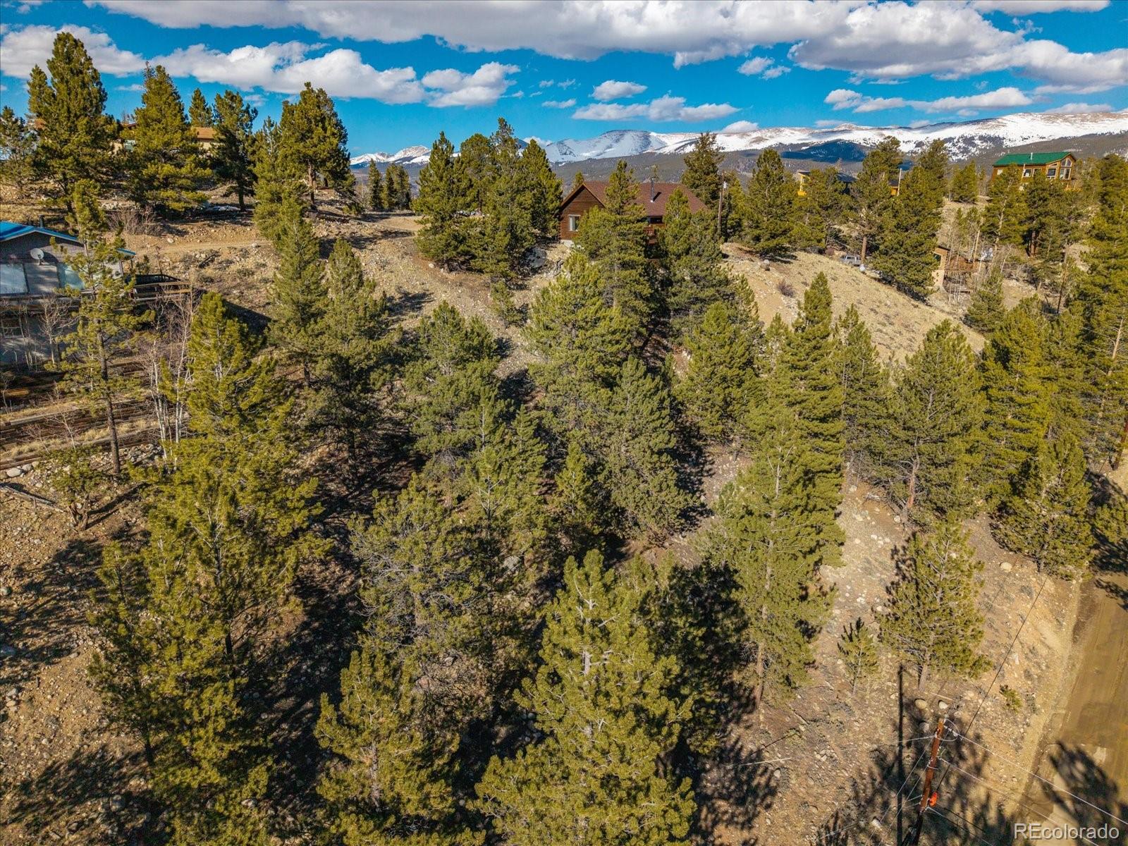 123 La Plata Peak Drive Twin Lakes CO 81251
