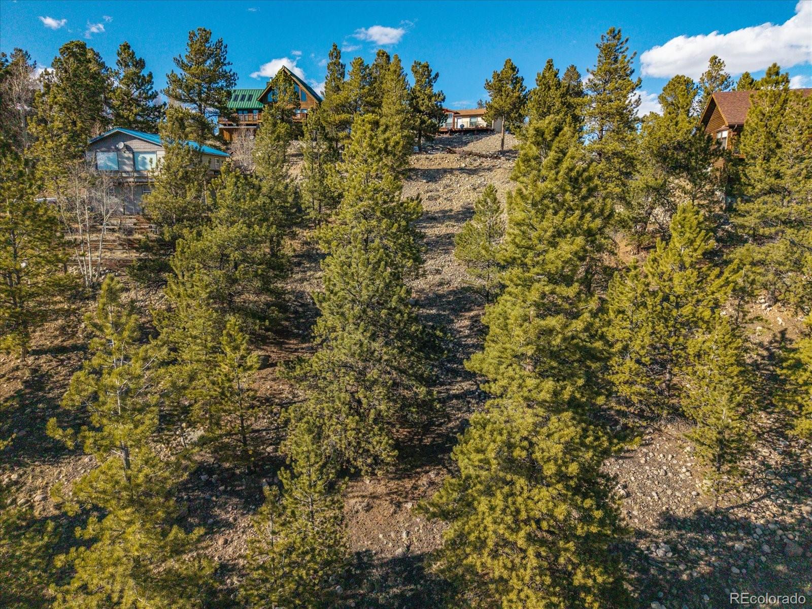 123 La Plata Peak Drive Twin Lakes CO 81251