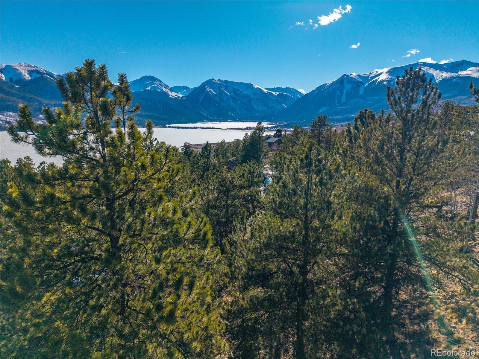 123 La Plata Peak Drive Twin Lakes CO 81251
