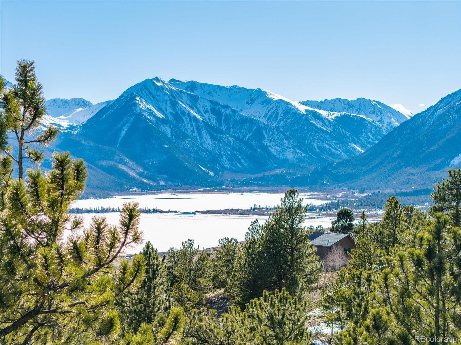 123 La Plata Peak Drive Twin Lakes CO 81251