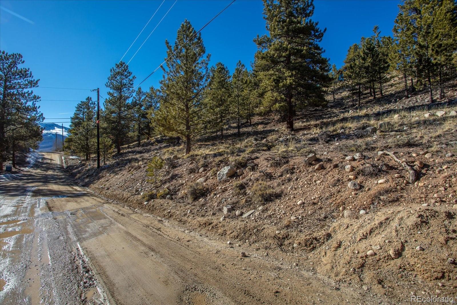 123 La Plata Peak Drive Twin Lakes CO 81251