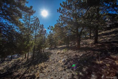 123 La Plata Peak Drive Twin Lakes CO 81251