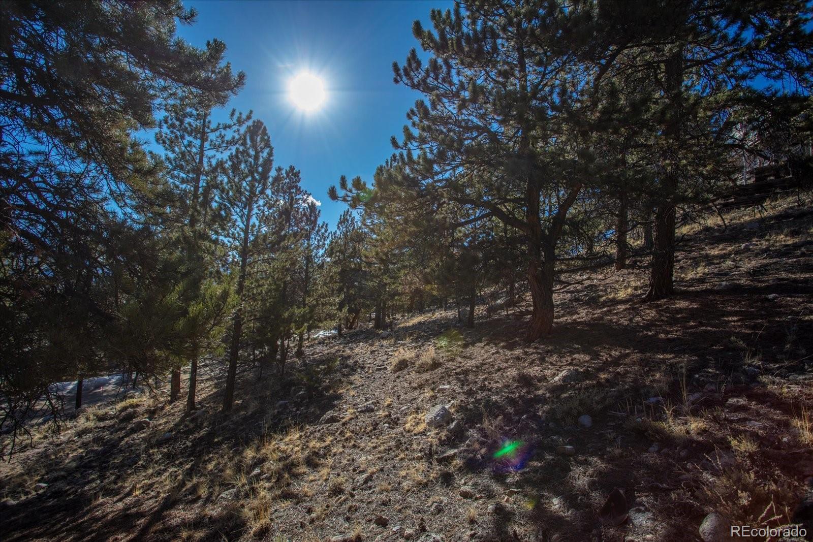 123 La Plata Peak Drive Twin Lakes CO 81251