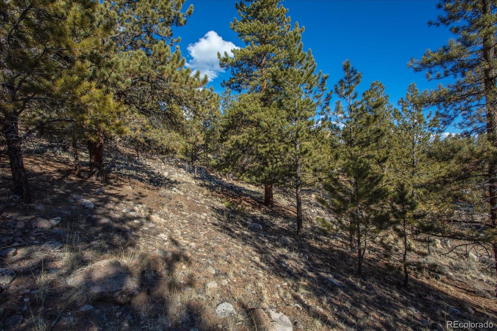 123 La Plata Peak Drive Twin Lakes CO 81251
