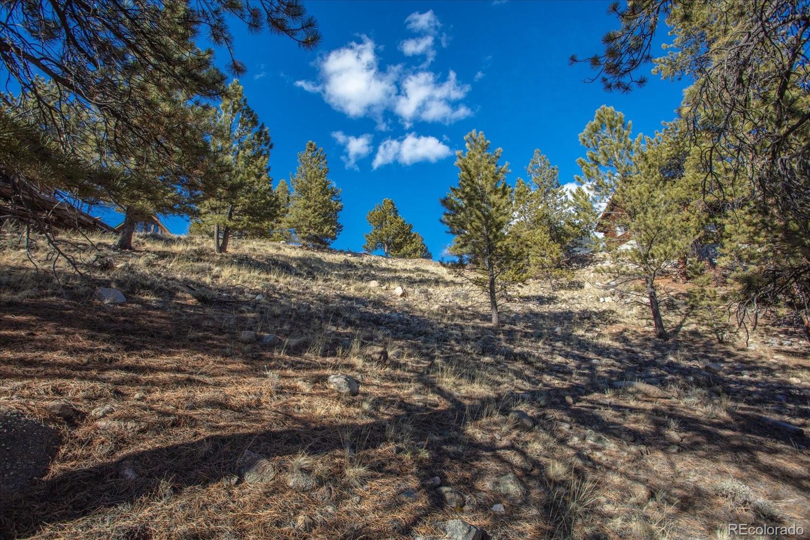 123 La Plata Peak Drive Twin Lakes CO 81251