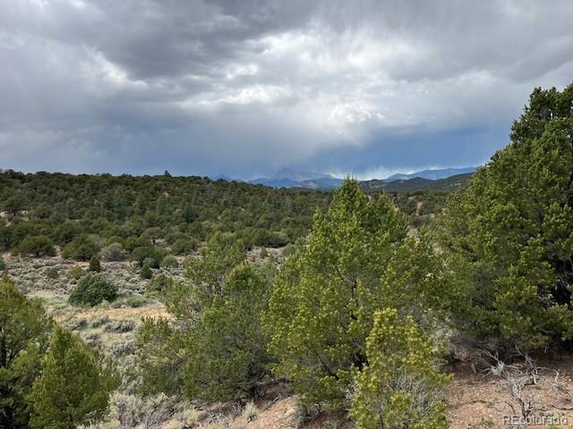 Lot 7840 Richard Road Fort Garland CO 81133
