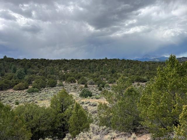Lot 7840 Richard Road Fort Garland CO 81133