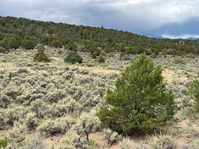 Lot 7840 Richard Road Fort Garland CO 81133