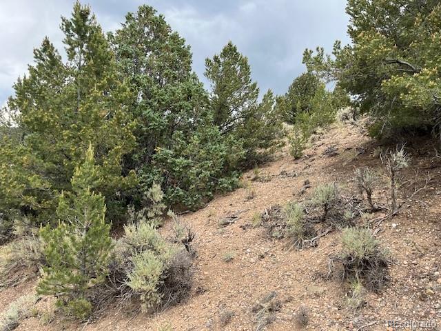 Lot 7840 Richard Road Fort Garland CO 81133