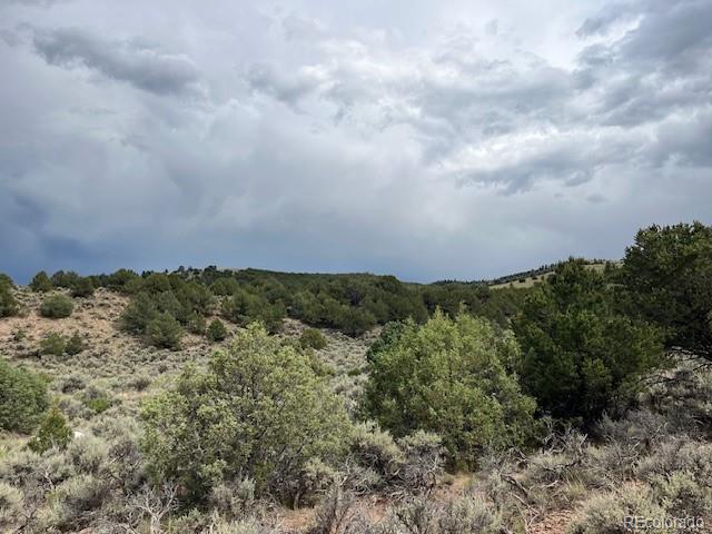 Lot 7840 Richard Road Fort Garland CO 81133