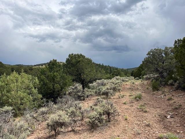 Lot 7840 Richard Road Fort Garland CO 81133