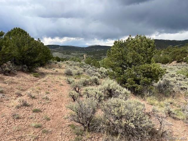 Lot 7840 Richard Road Fort Garland CO 81133