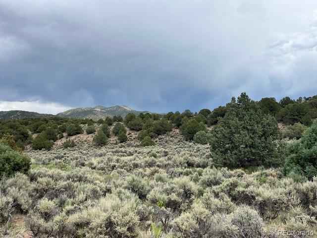 Lot 7840 Richard Road Fort Garland CO 81133