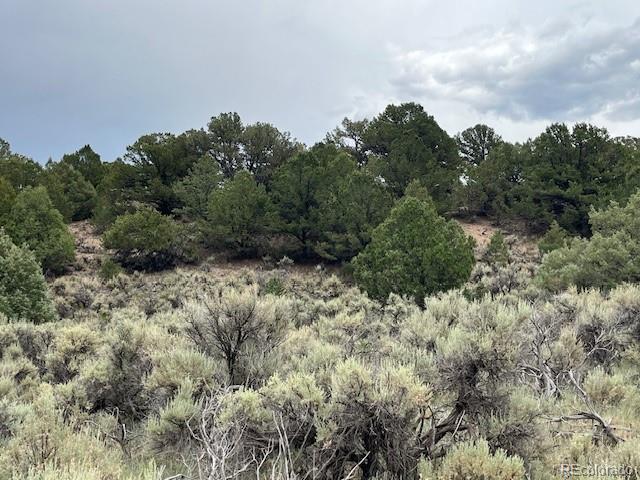Lot 7840 Richard Road Fort Garland CO 81133