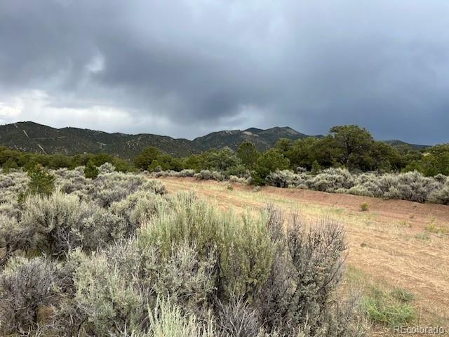 Lot 7840 Richard Road Fort Garland CO 81133