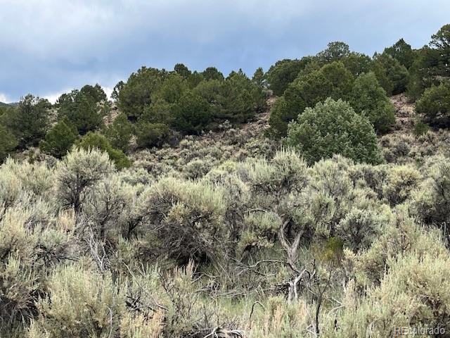 Lot 7840 Richard Road Fort Garland CO 81133