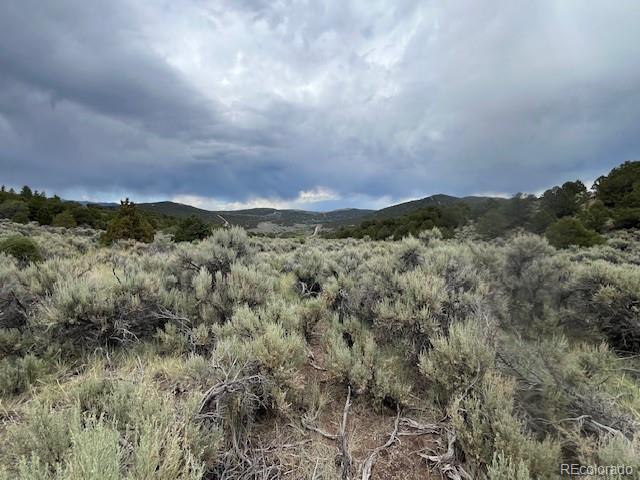 Lot 7840 Richard Road Fort Garland CO 81133