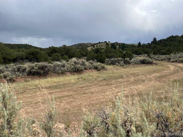 Lot 7840 Richard Road Fort Garland CO 81133