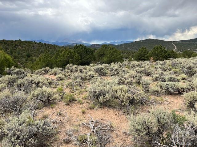 Lot 7840 Richard Road Fort Garland CO 81133