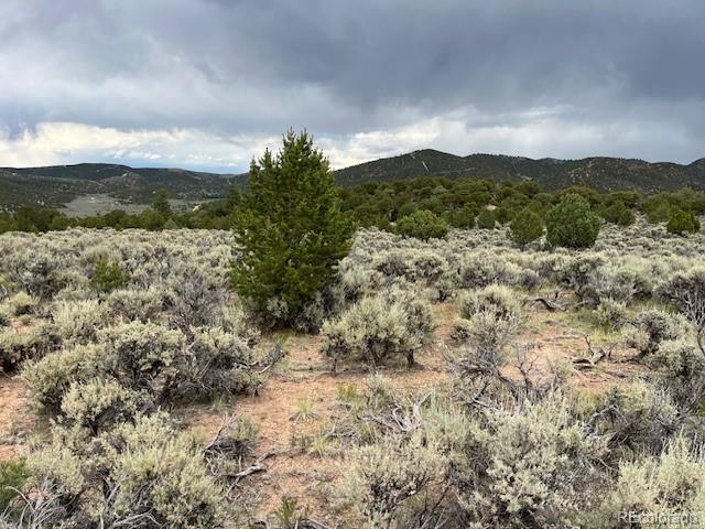 Lot 7840 Richard Road Fort Garland CO 81133