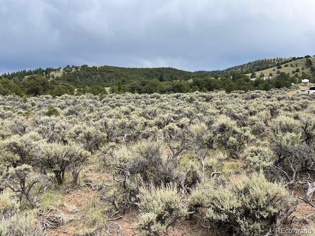 Lot 7840 Richard Road Fort Garland CO 81133