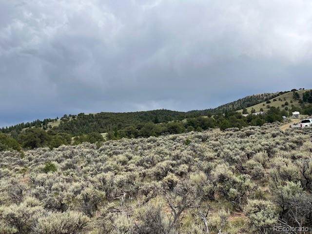 Lot 7840 Richard Road Fort Garland CO 81133