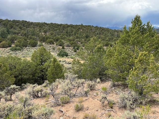 Lot 7840 Richard Road Fort Garland CO 81133