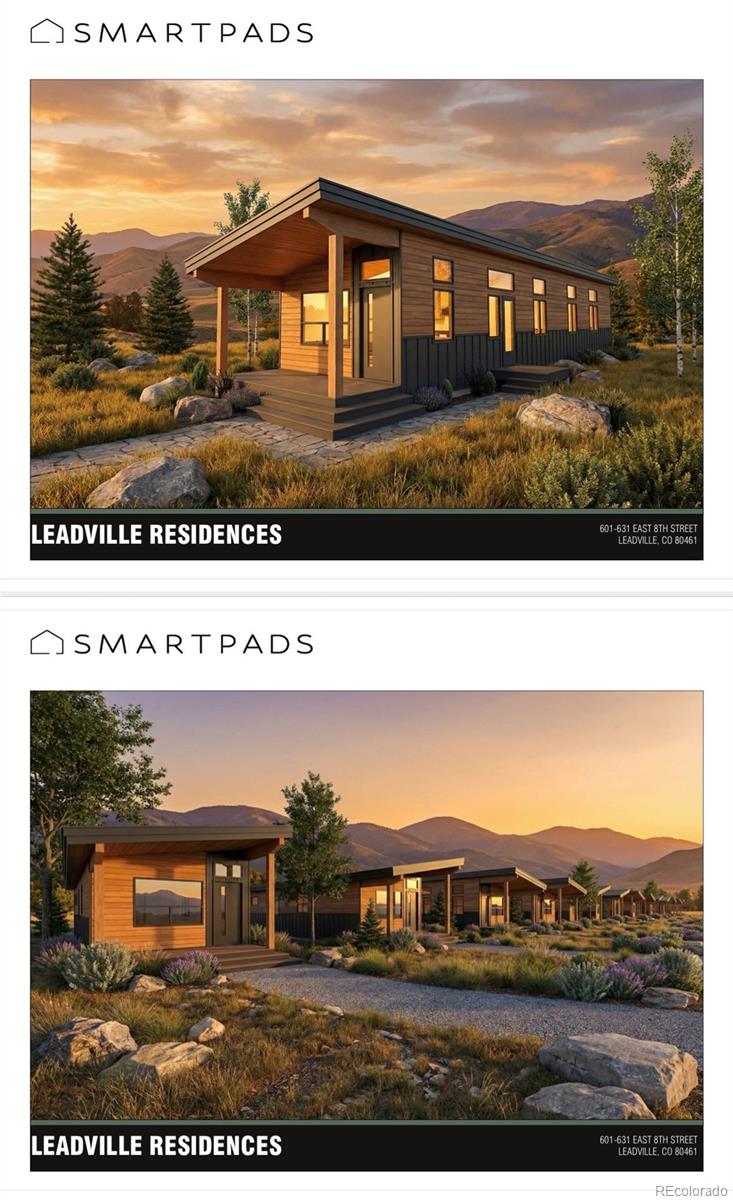 613 E 8th Street Leadville CO 80461