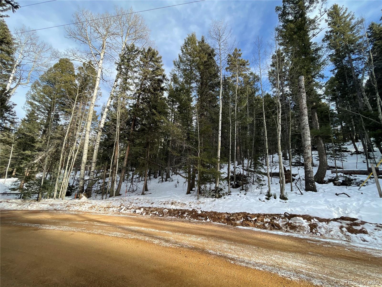 222 Banner Trail Florissant CO 80816