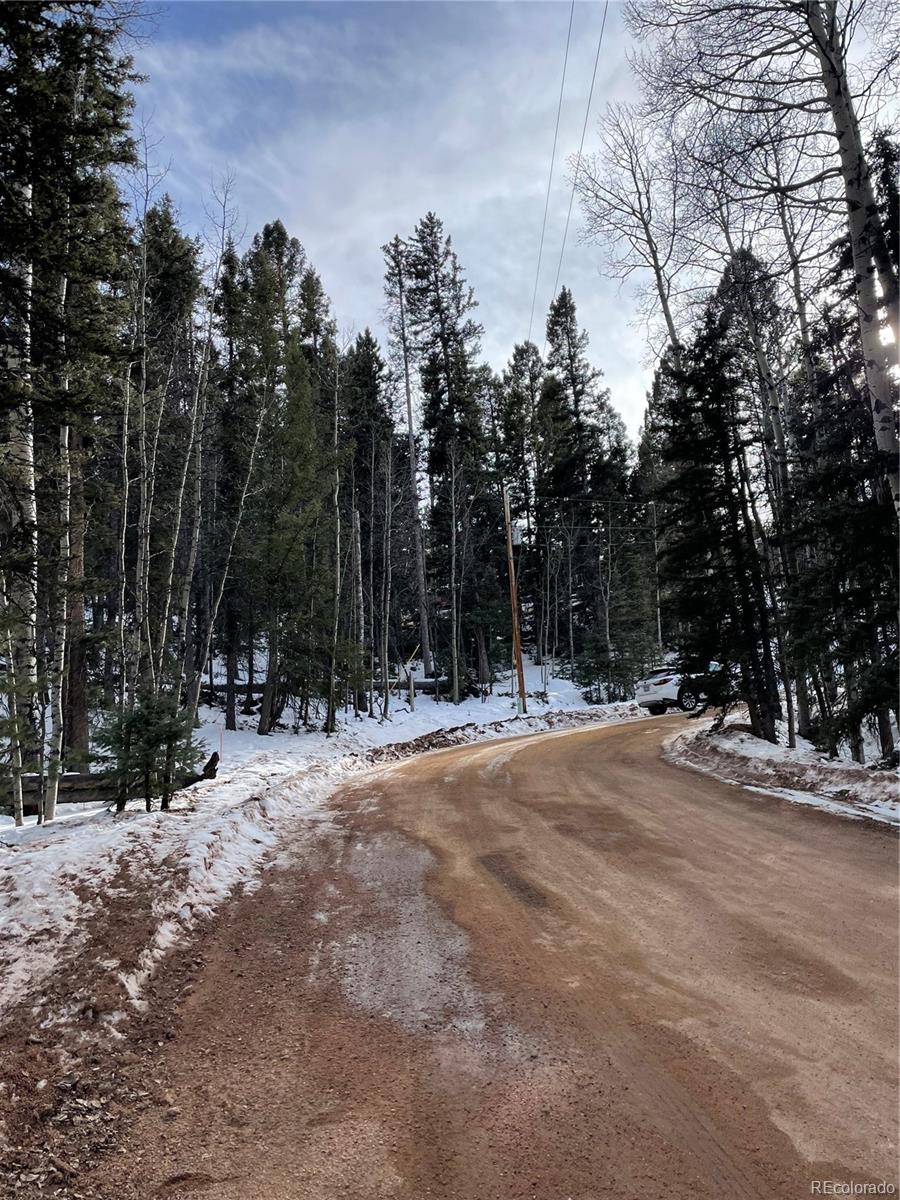 222 Banner Trail Florissant CO 80816