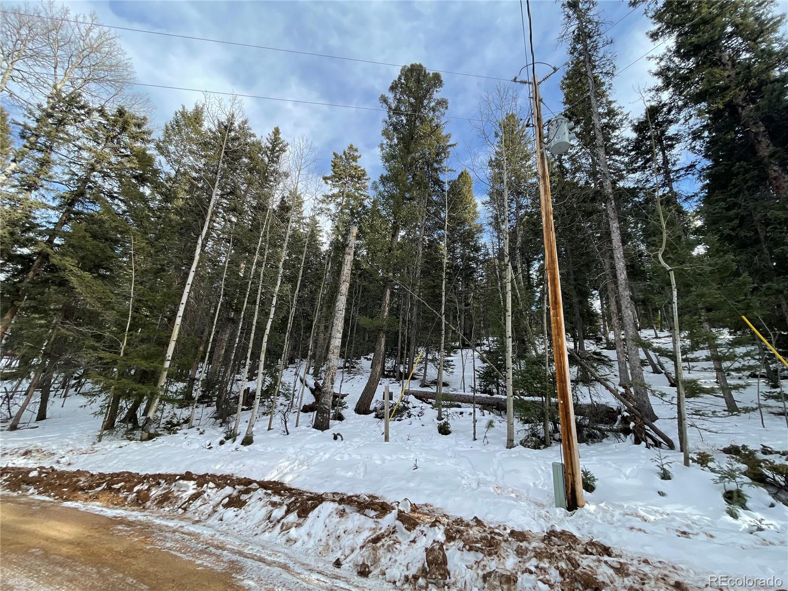 222 Banner Trail Florissant CO 80816