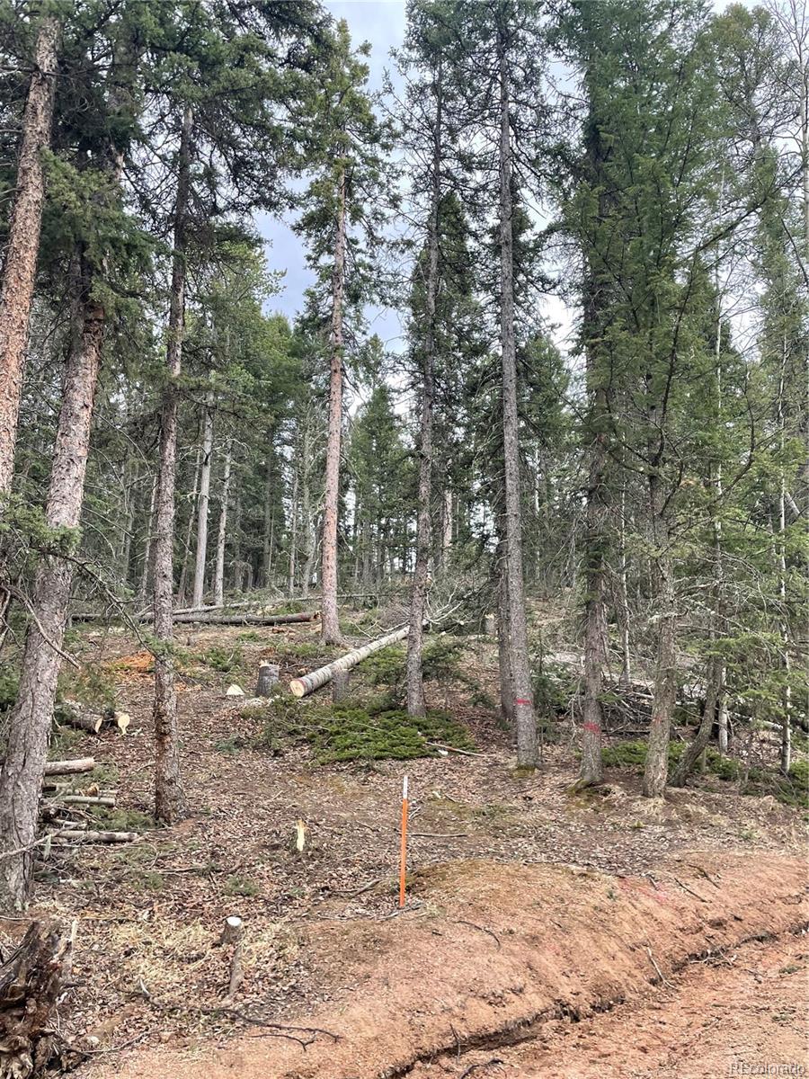 222 Banner Trail Florissant CO 80816