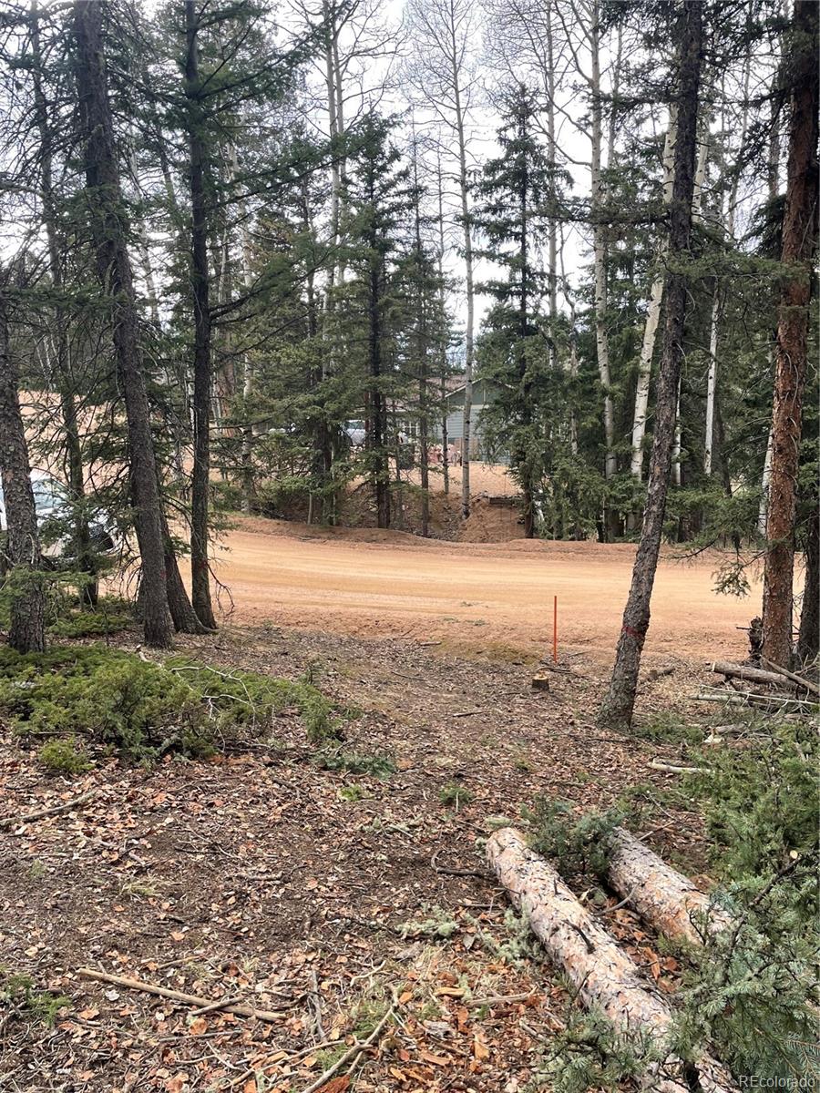 222 Banner Trail Florissant CO 80816