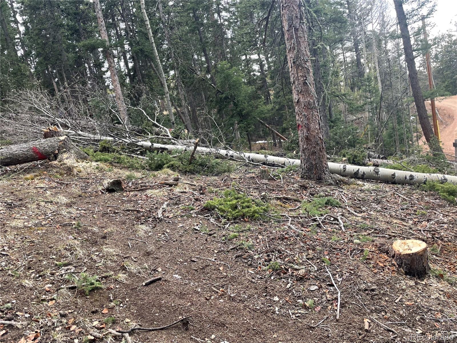 222 Banner Trail Florissant CO 80816