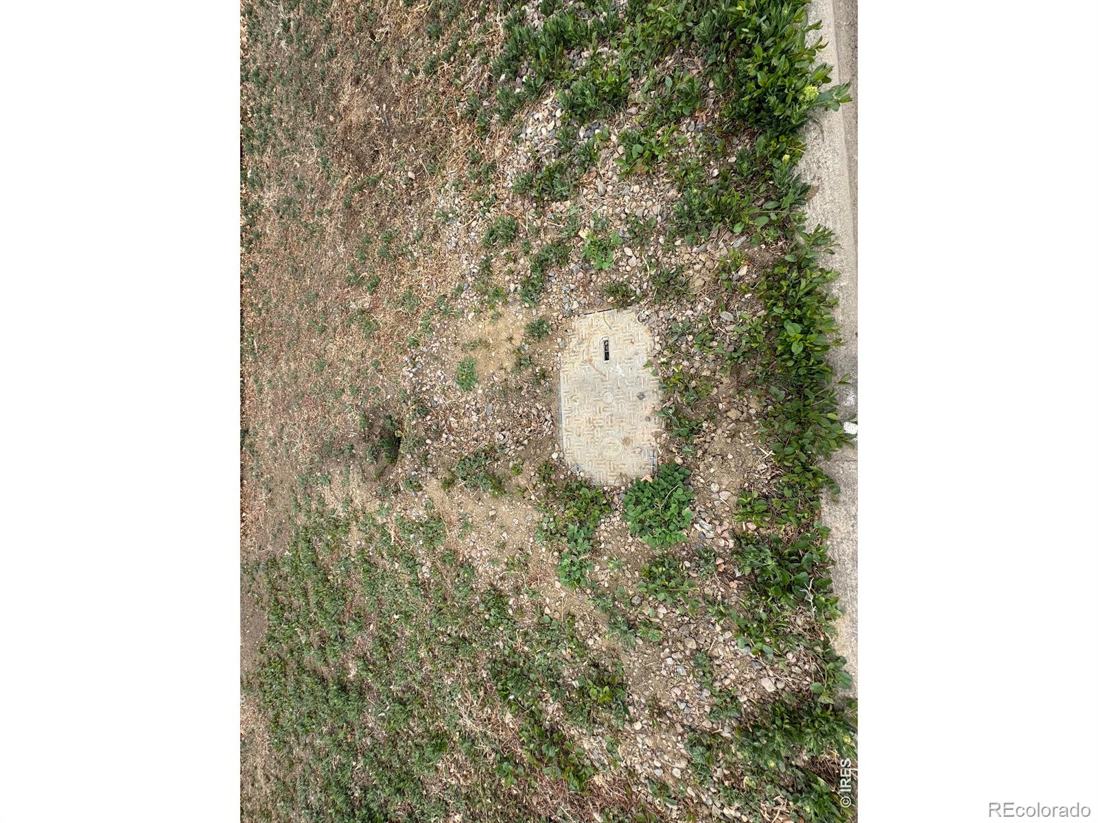 2252 S Colorado Avenue Loveland CO 80537