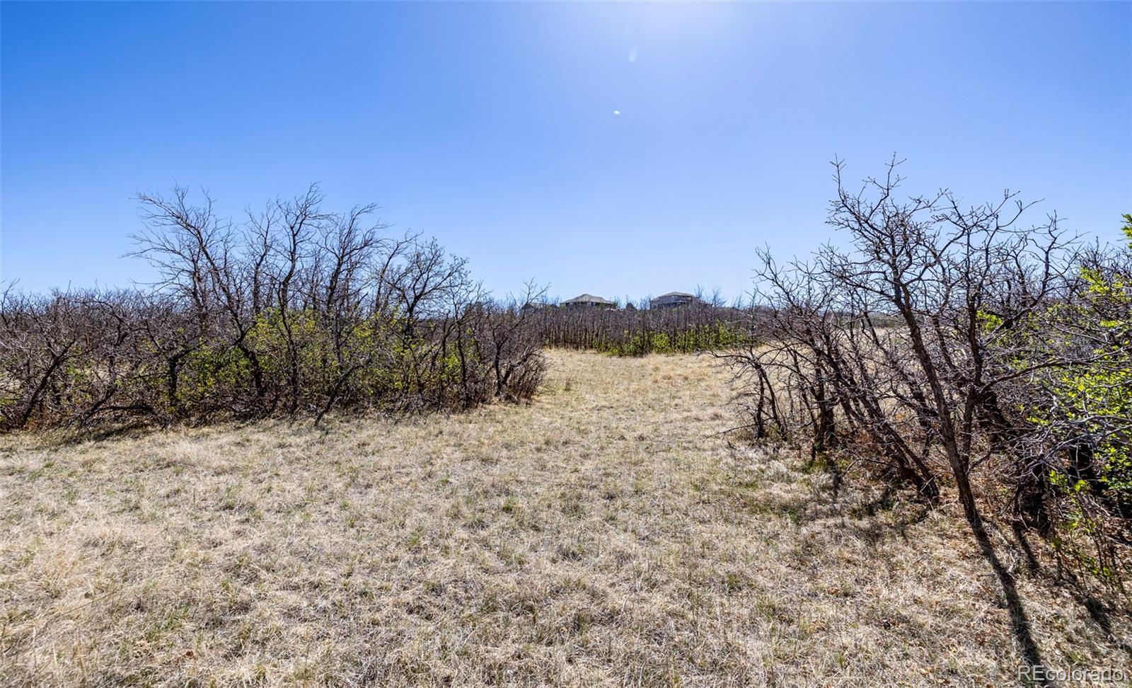 1701 N Rocky View Road Castle Rock CO 80108