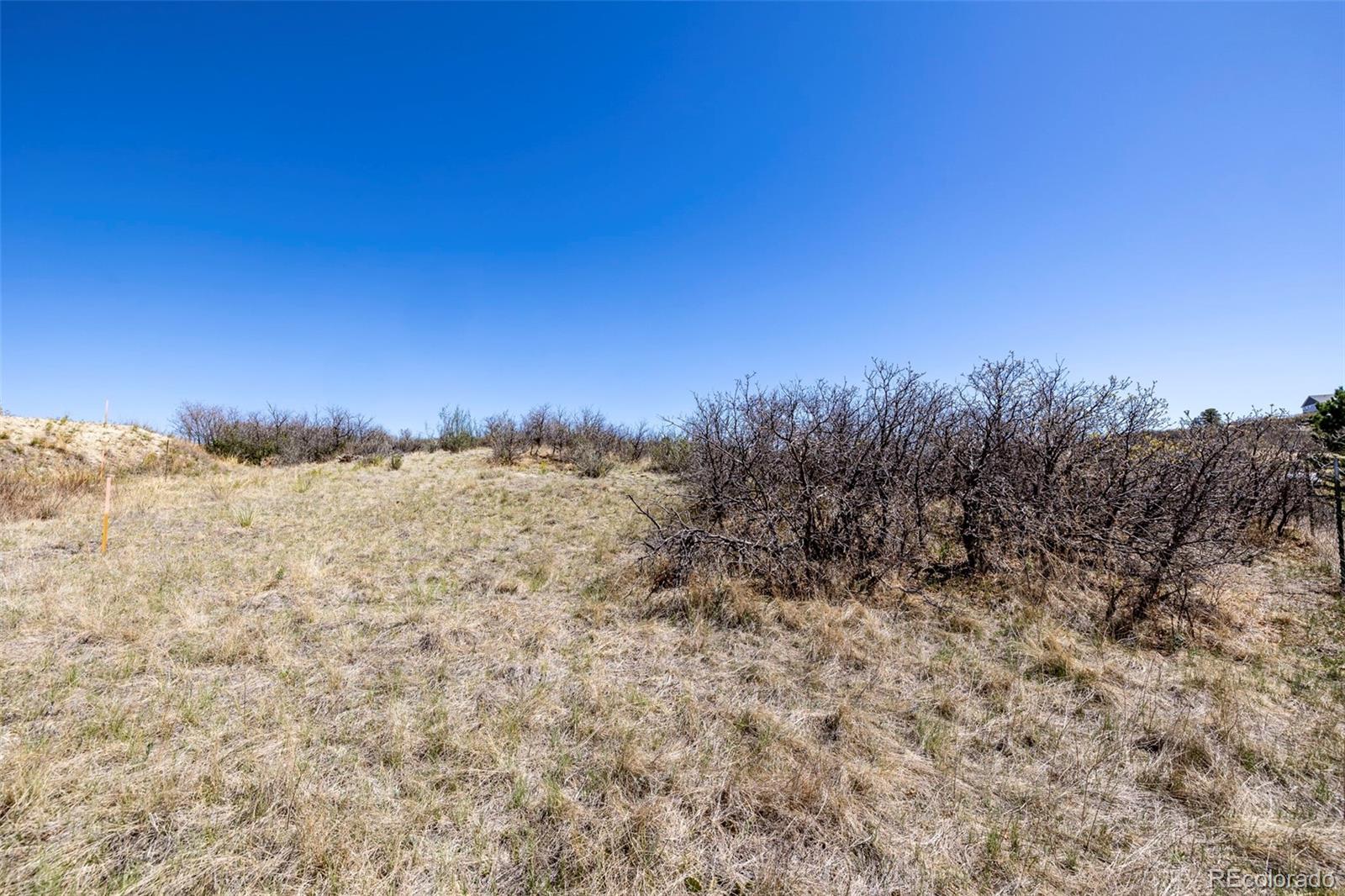 1701 N Rocky View Road Castle Rock CO 80108