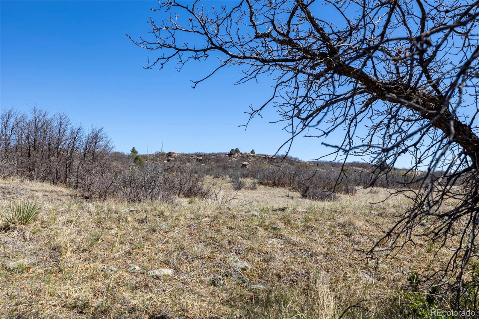 1701 N Rocky View Road Castle Rock CO 80108