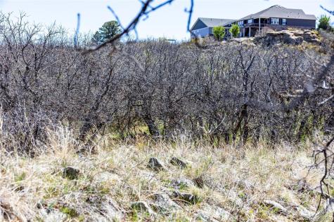 1701 N Rocky View Road Castle Rock CO 80108