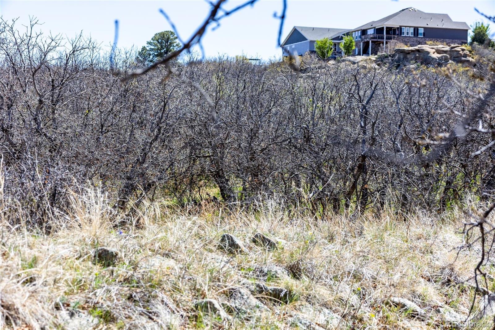 1701 N Rocky View Road Castle Rock CO 80108