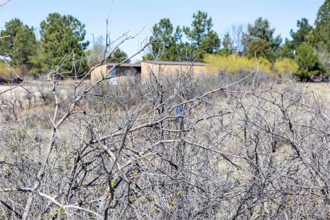 1701 N Rocky View Road Castle Rock CO 80108