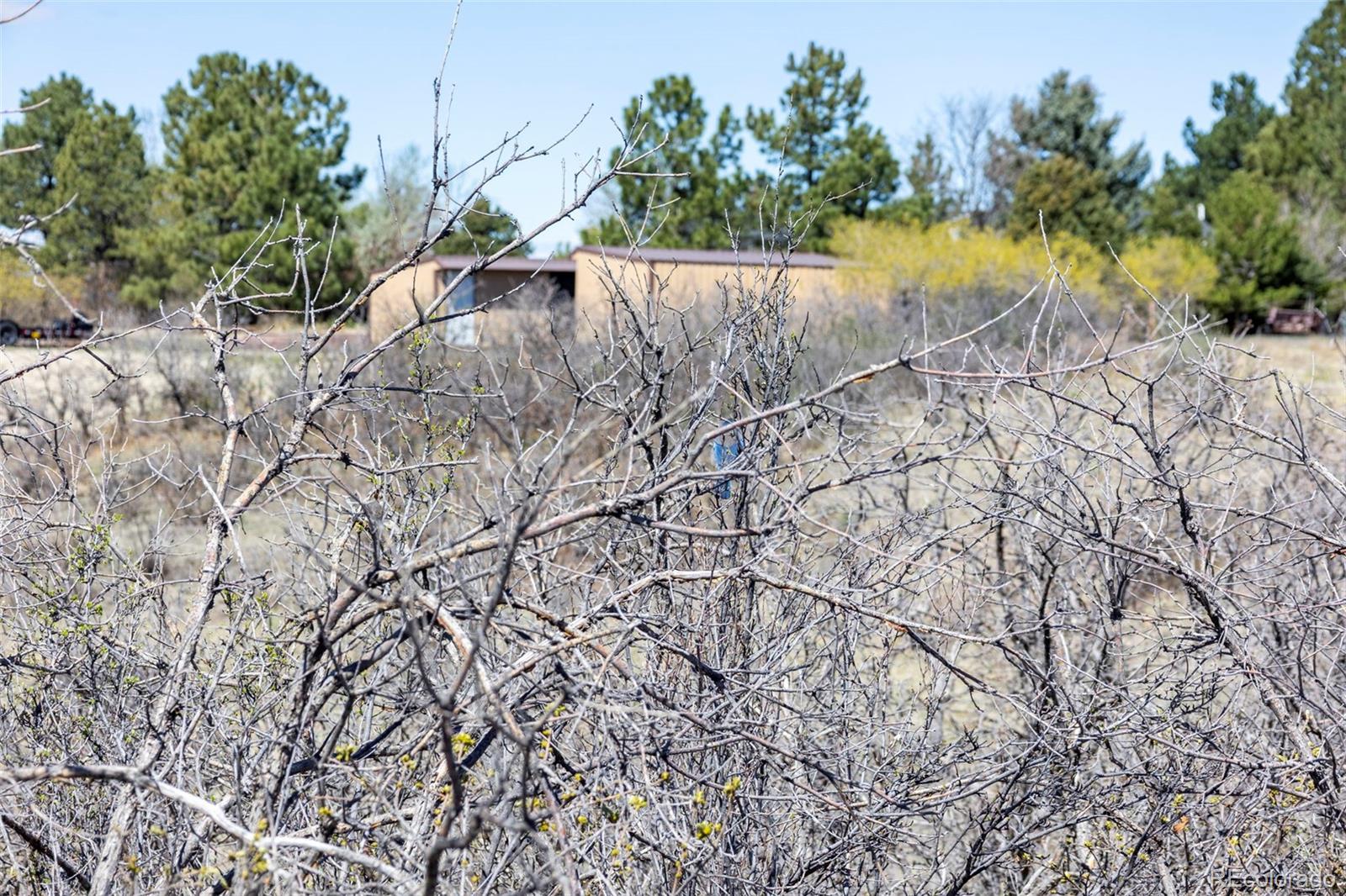 1701 N Rocky View Road Castle Rock CO 80108