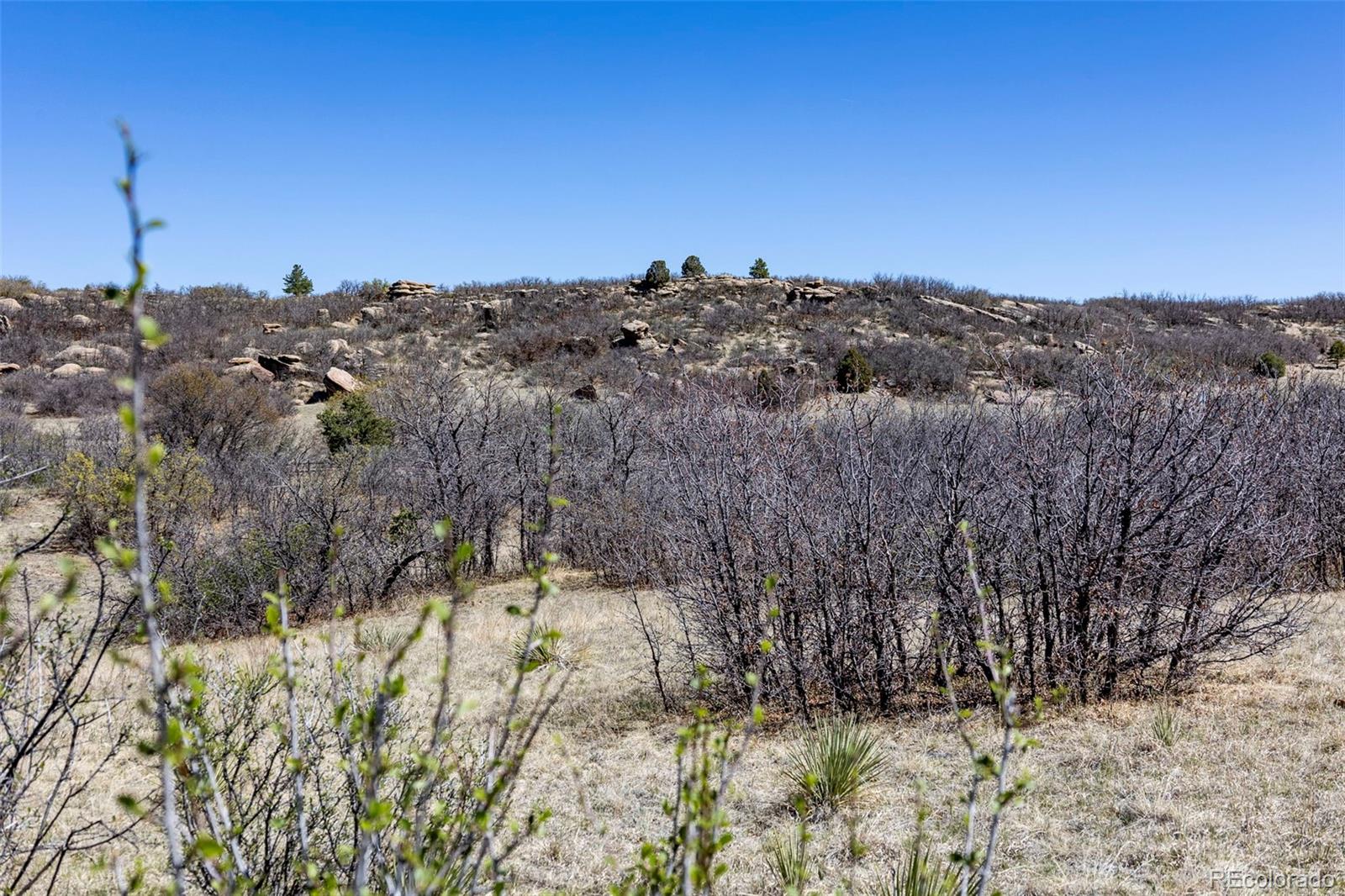 1701 N Rocky View Road Castle Rock CO 80108