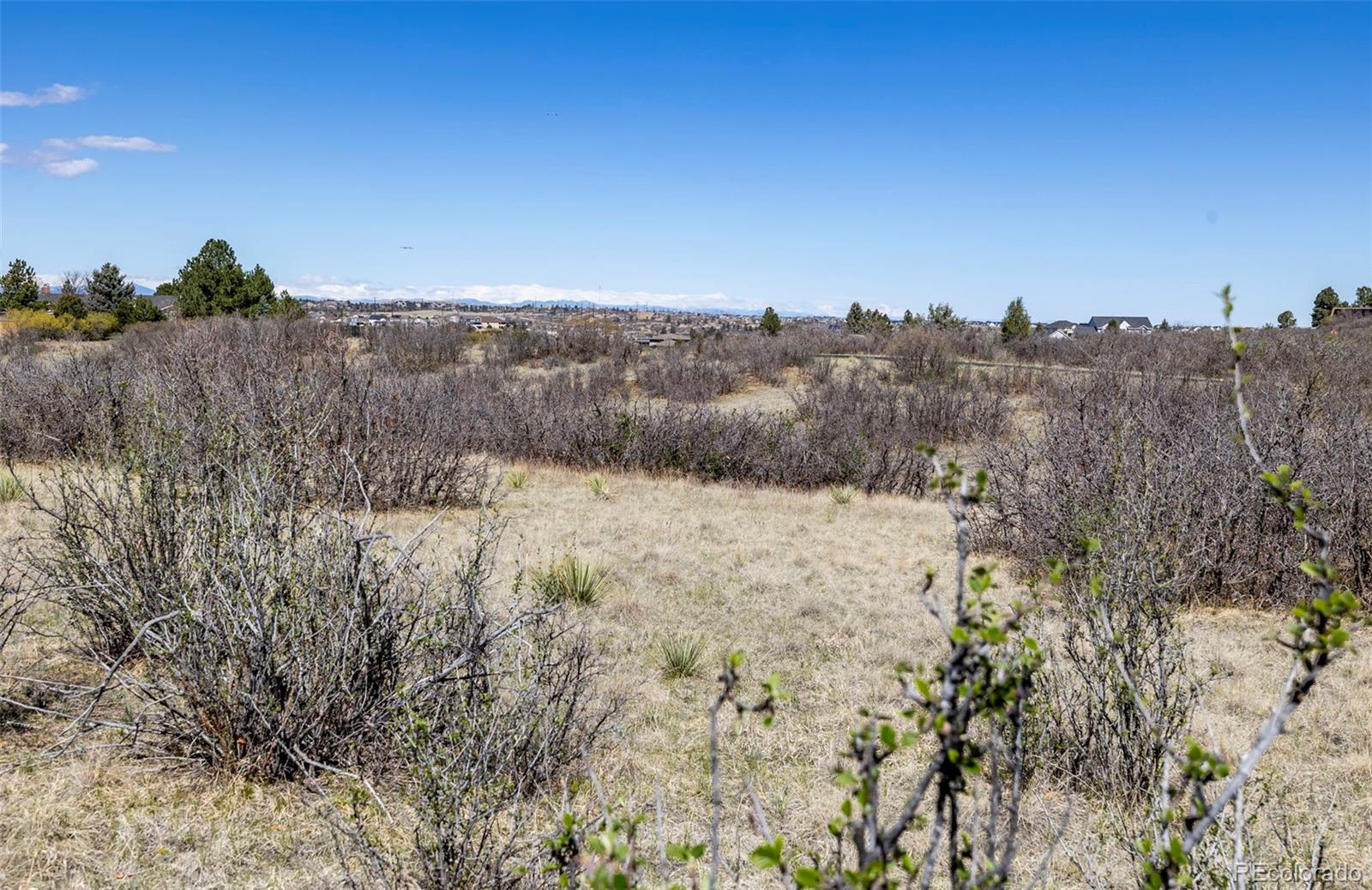 1701 N Rocky View Road Castle Rock CO 80108