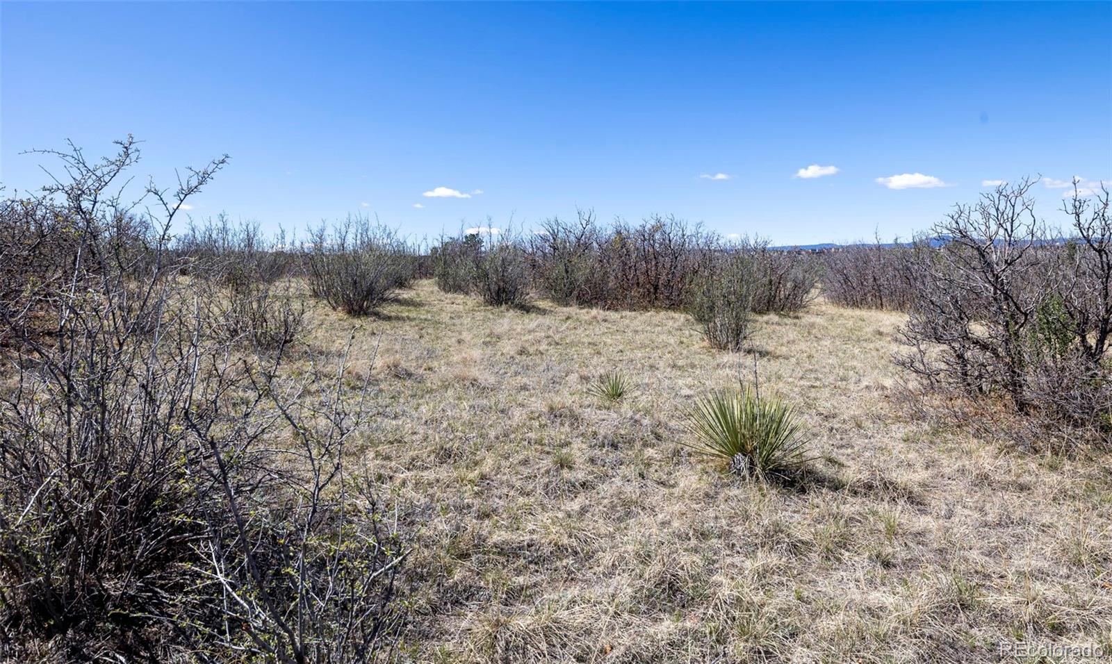 1701 N Rocky View Road Castle Rock CO 80108