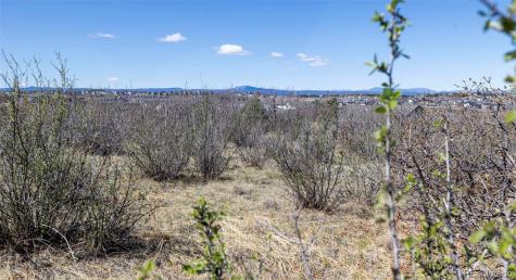 1701 N Rocky View Road Castle Rock CO 80108