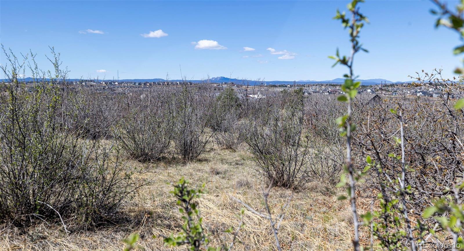 1701 N Rocky View Road Castle Rock CO 80108