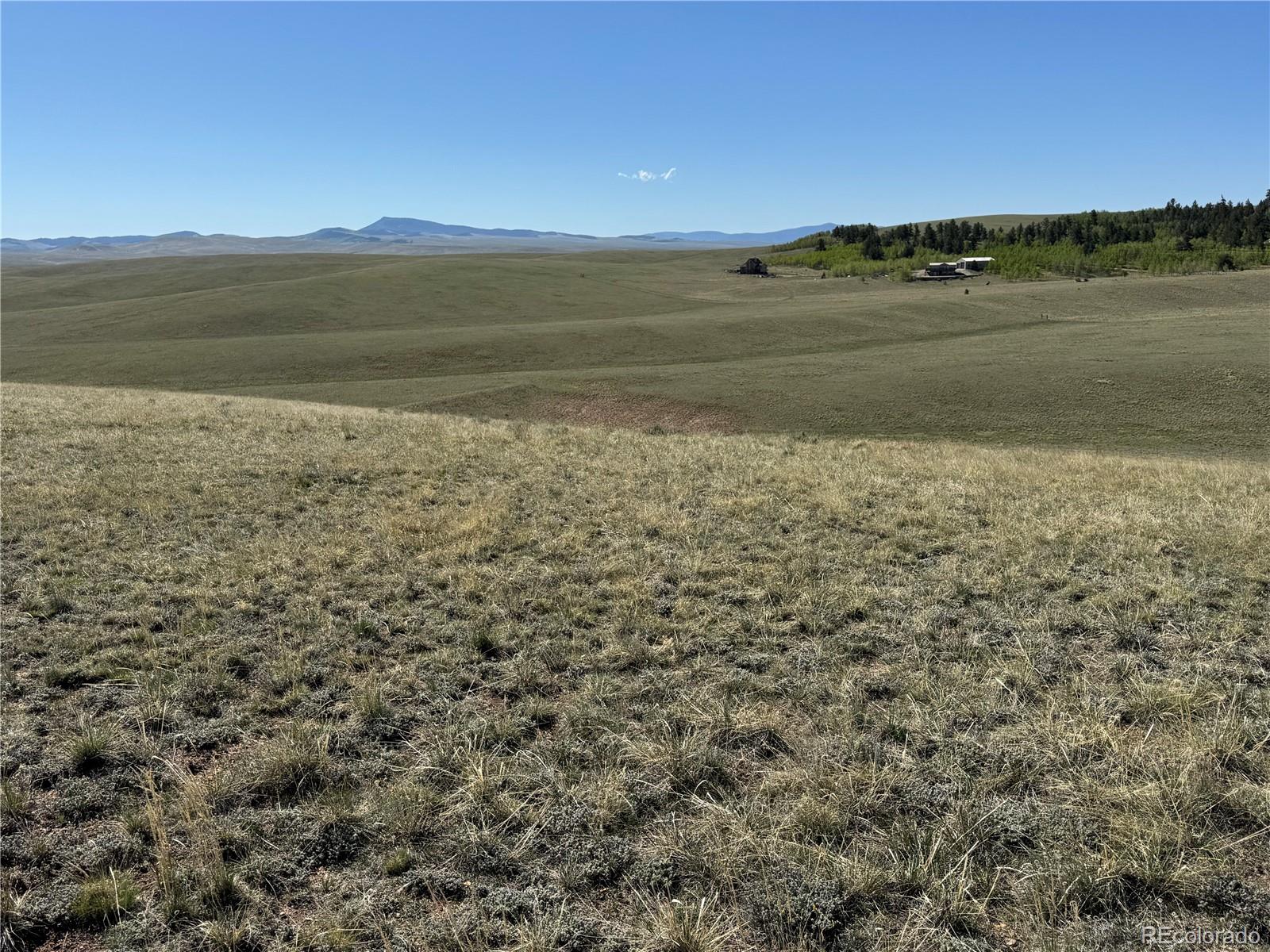 96 Angus Circle Hartsel CO 80449