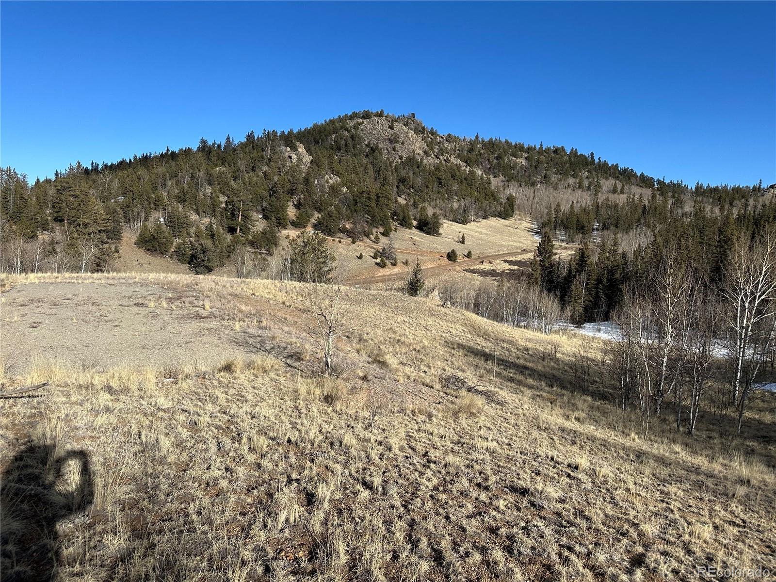 280 Welsh Cob Lane Jefferson CO 80456